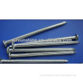 galvanized concrete nail with high quality